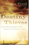 destiny thieves