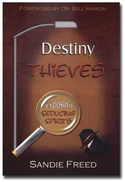destiny of thieves