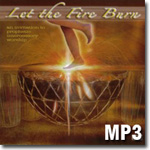 Let the Fire Burn