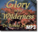 Glory in the Wilderness