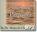 The Lord Your Provider