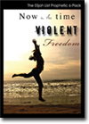 Now is the Time for Violent Freedom